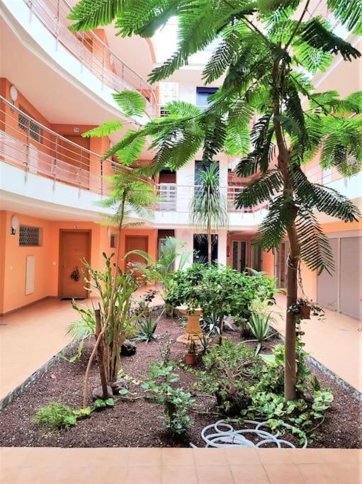 Apartment In Playa San Juan, Casa Greg Экстерьер фото